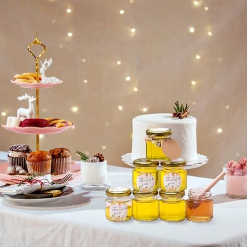 DHSBTLS 30-Pack 15 oz Mini Glass Honey Jars with Wooden Dipper