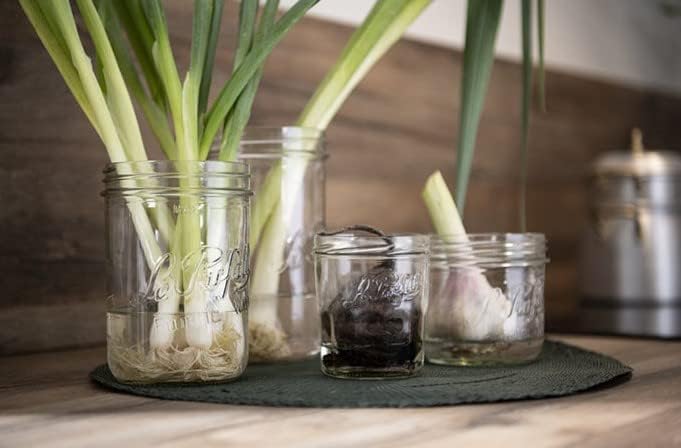 Le Parfait -French Glass Jars with 2-Piece System
