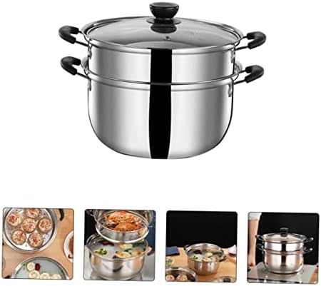 Stainless Steel Steam Cooker 20cm Multi-Purpose pot