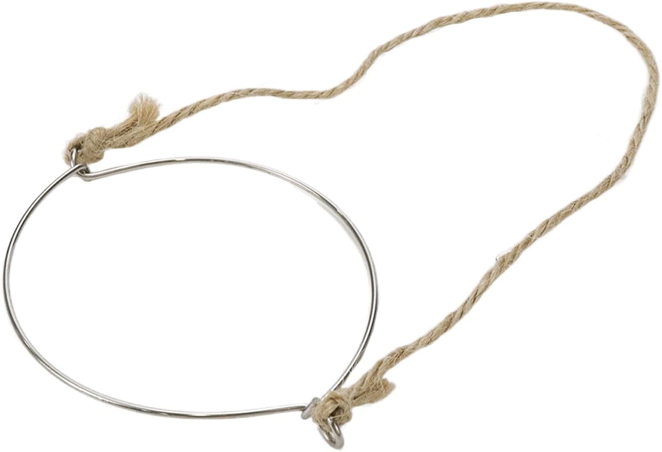 10-Piece Stainless Steel Jar Hangers with Hemp Rope