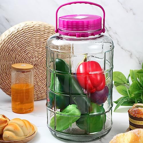Suclain Fermenter Jar