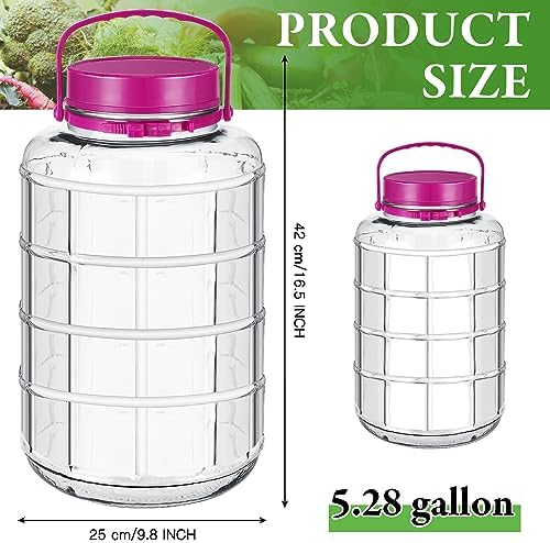 Suclain Fermenter Jar