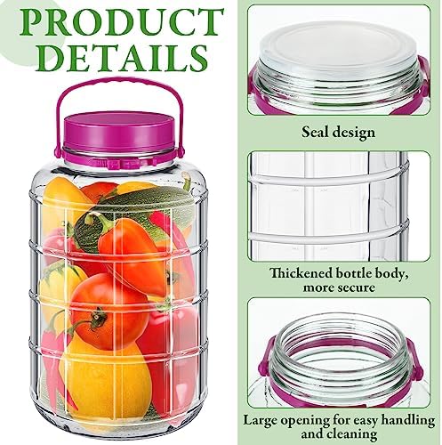 Suclain Fermenter Jar