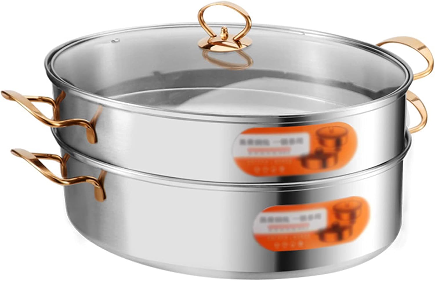 Stainless Steel Fish Steamer with Ceramic Plate and Rack