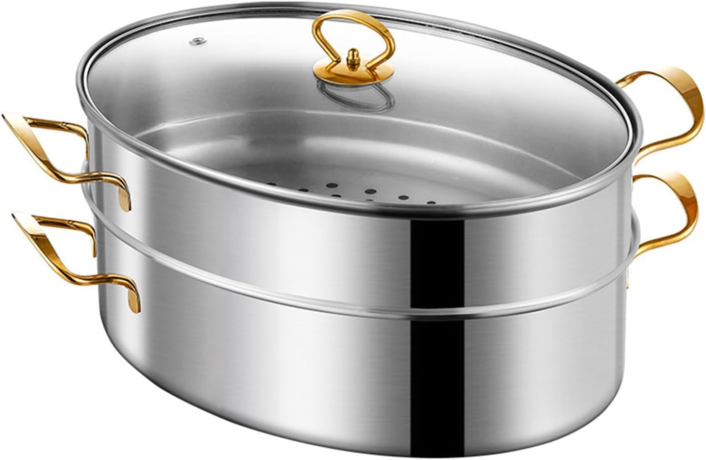 AIZYR Stainless Steel Fish Steamer Pot 2 Tier Boiling Fish with Ease