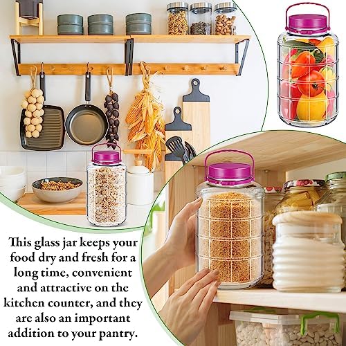 Suclain Fermenter Jar