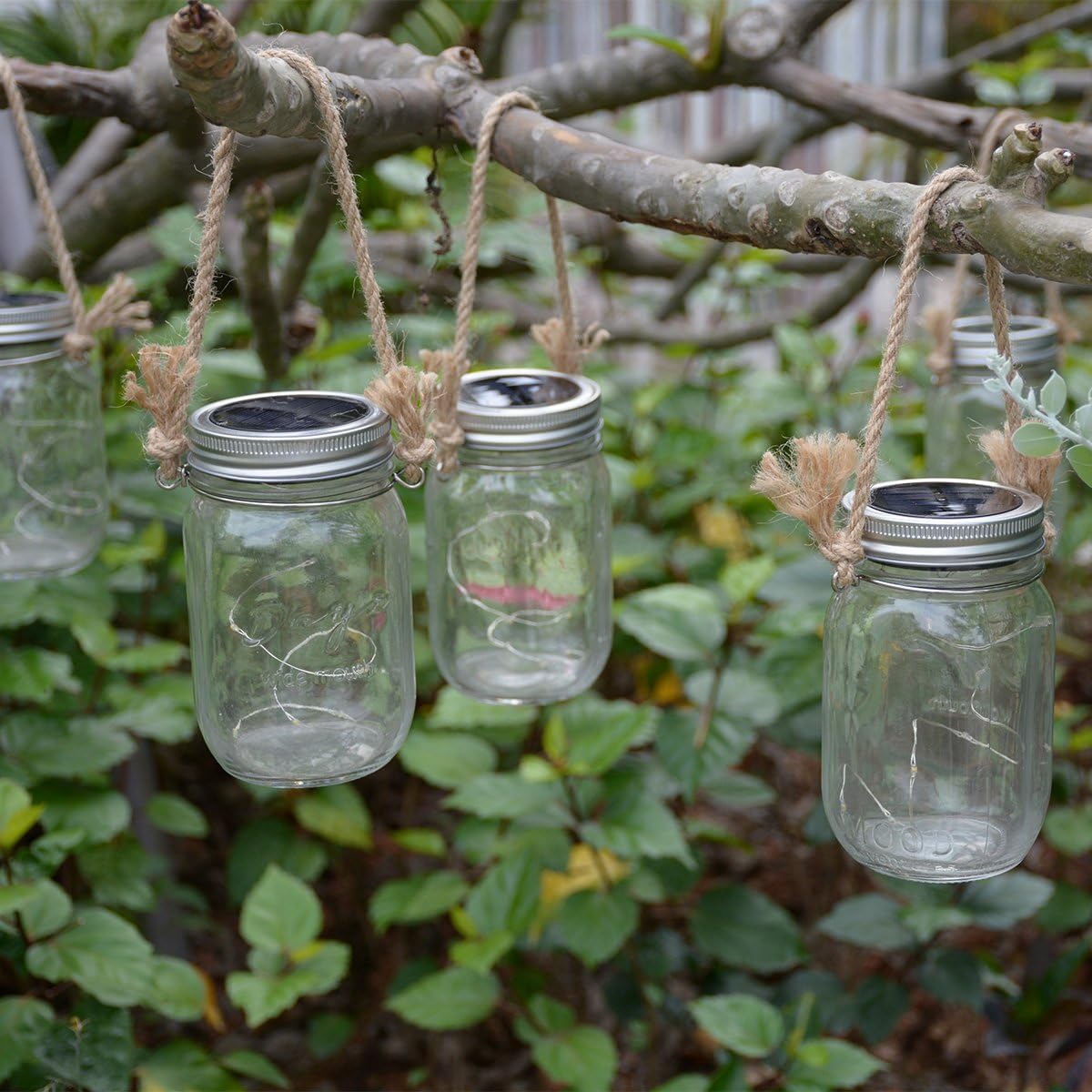 Homeleo Vivid Design 6-Pack Mason Jar Hangers
